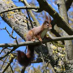 58: Tiere Eppenreuth-58